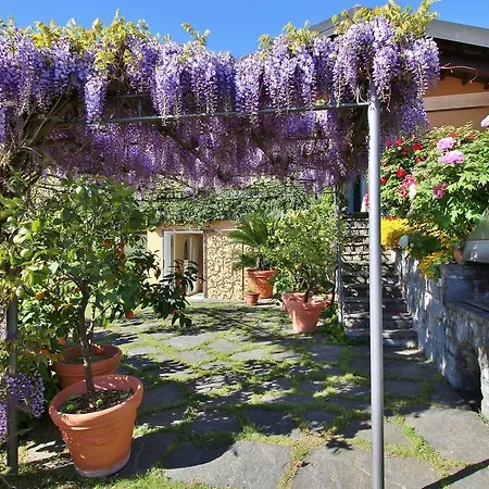 Wisteria Villa
